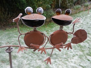 Frogs in Freezing February